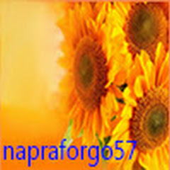 napraforgo57
