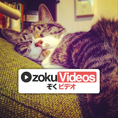 zokuVideos（ぞくビデオ）