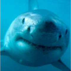エンゾヒデキ