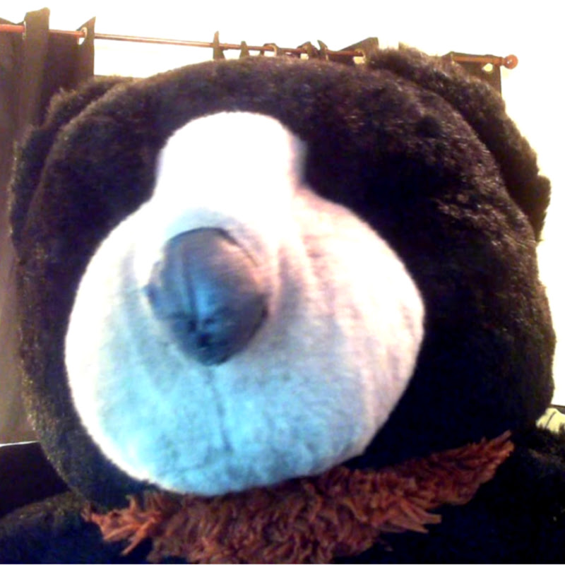 Review Bear