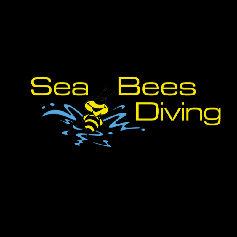 Sea Bees Diving