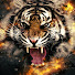 MWBPxQnIZeU-channel-avatar-maxpower123mtb