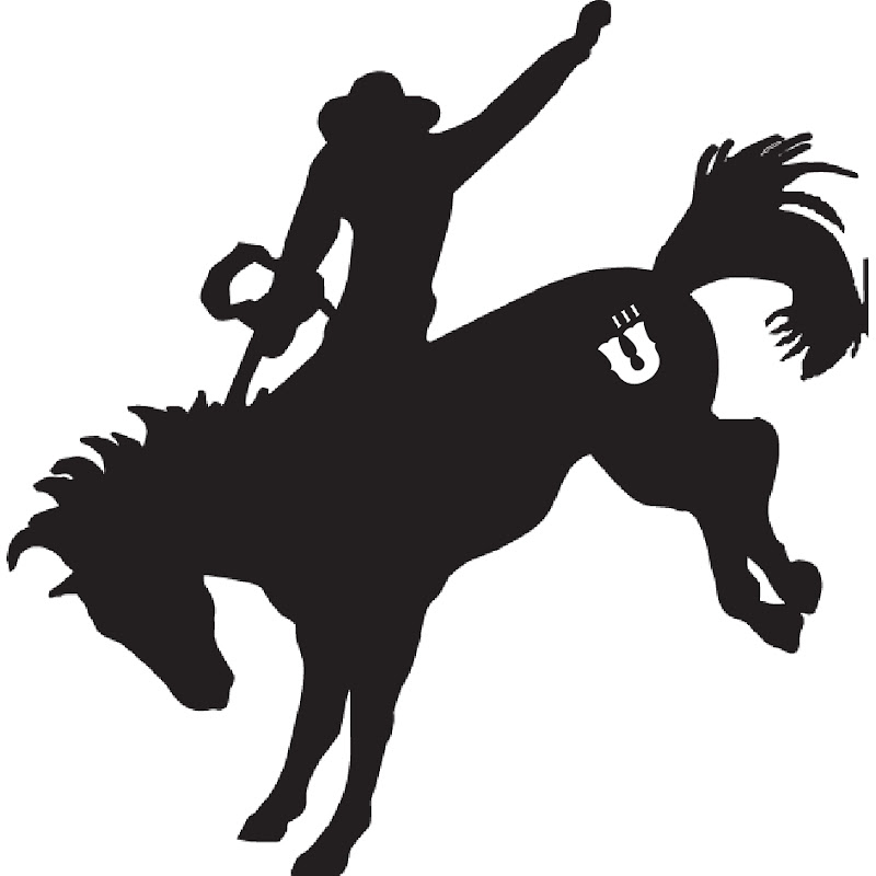 Spur Films