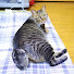 -t7aXyRy7u4-channel-avatar-たわしっぽちゃんねる Japanese Tawashi Tail