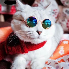 Berita Artis Terbaru avatar