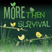 MoreThenSurvival