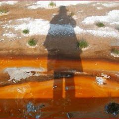 Skizit Gesture Avatar