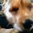 @ajdailey3698 Avatar