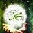 @jannatmohamed927