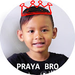 Praya Brother Net Worth