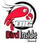 Bird Inside Channel