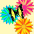 qxcWs_5YFJE-channel-avatar-observationsblog.com