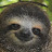 @sloslotho