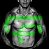 What could Green Fits buy with $1.5 million?