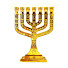 HV3xG-leTOU-channel-avatar-Мир вам - Shalom