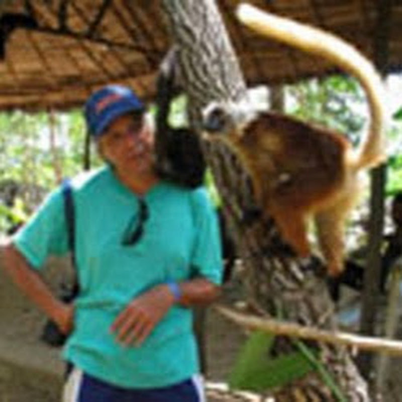 bisguillo
