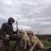 hunting dogs for sale