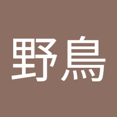 野鳥の画像