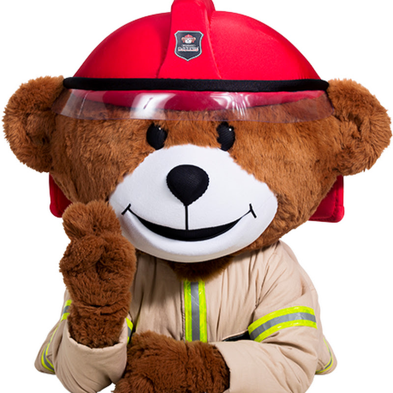 Brannbamsen Bjørnis