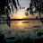 @williamwesongamulongo3802