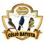 celio batista