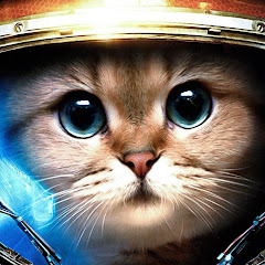 まかちゃんねる