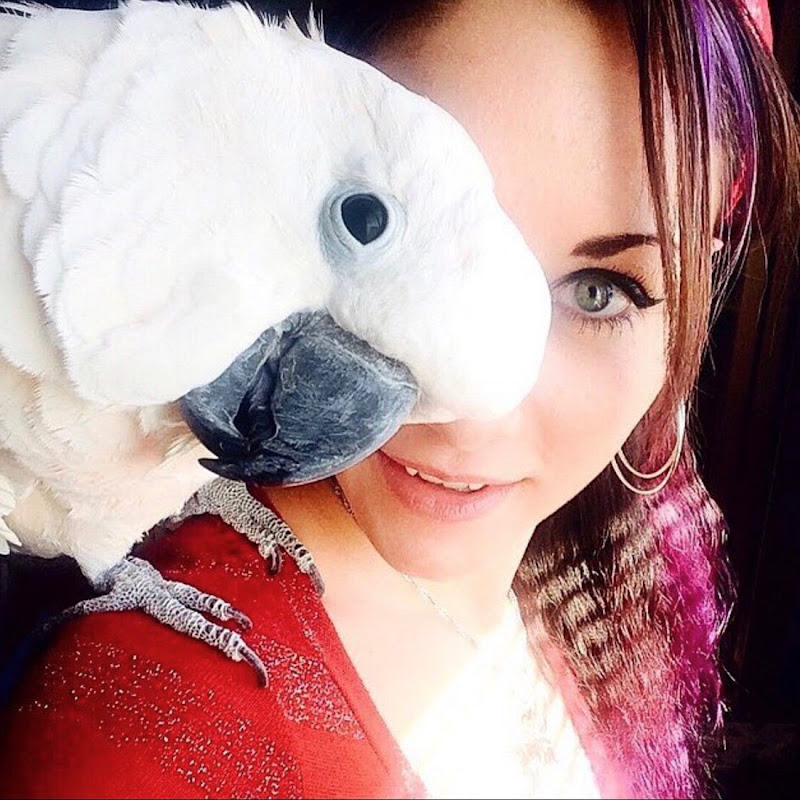 Gotcha the Cockatoo