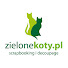 TctblaAe_a8-channel-avatar-ZieloneKoty