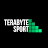 @terabytesport1521