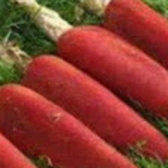 Buy Buah Merah