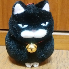 ひげまん週3投稿