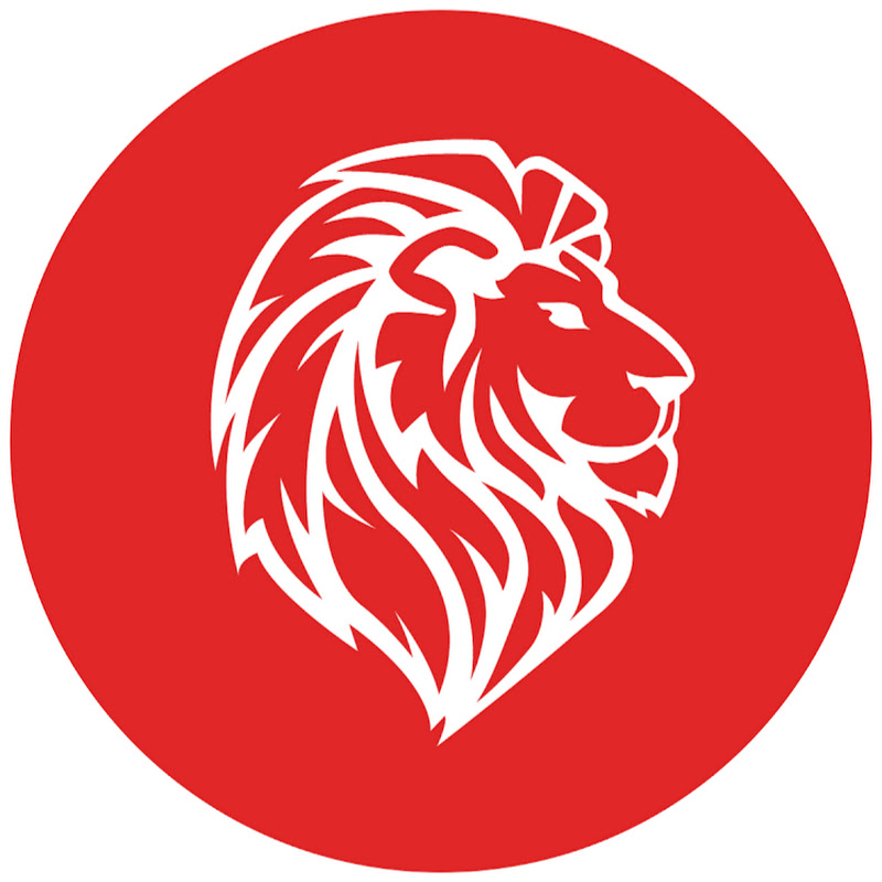 Financial Lion