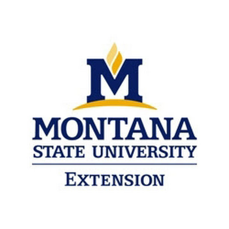 MSU Extension