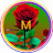 @mehadihasan1180 Avatar