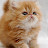 @krubbb4808's avatar