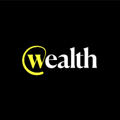 Wealth net worth