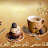 قناة سلمى للموسيقى العربية