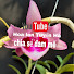 IM47MY-KsbA-channel-avatar-Hoa lan Tuyến Hà