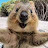 @staceycarras3815's avatar