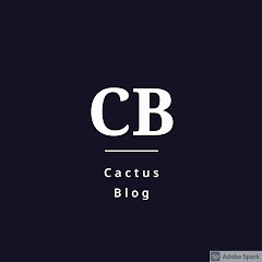 Cactus Blog