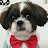 @크리에이