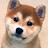 @tokashini