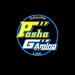 pasha gaming パシャゲーム