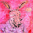 @llav3's avatar
