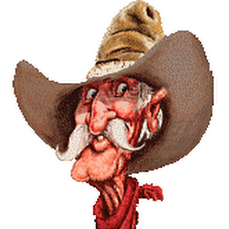 brian holt icon
