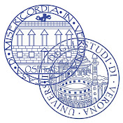 Azienda Ospedaliera Universitaria Integrata Verona
