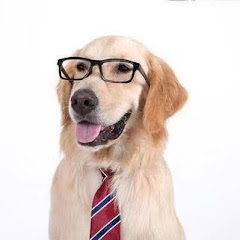 刘大白アイコン画像