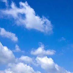りゅうまるの倉庫