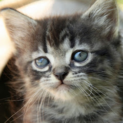 この国を知ろう