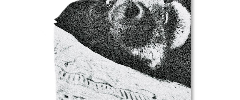 Artist Thumbnail